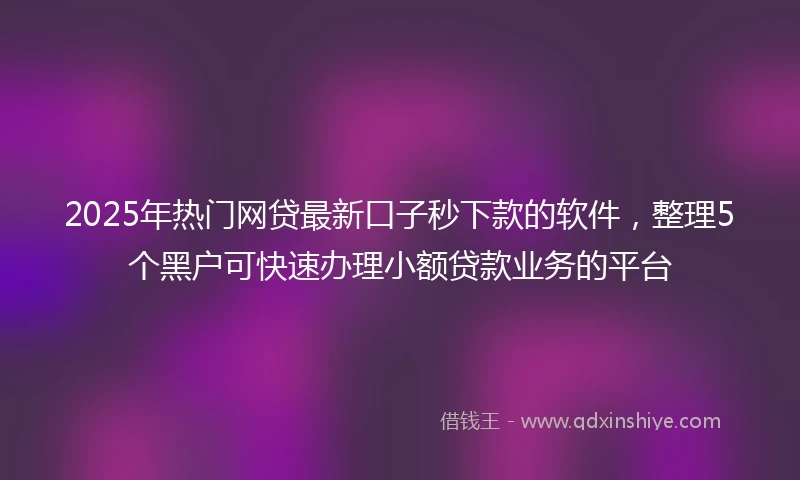 2025年热门网贷最新口子秒下款的软件，整理5个黑户可快速办理小额贷款业务的平台
