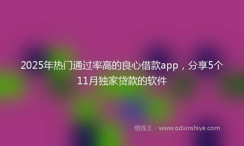2025年热门通过率高的良心借款app，分享5个11月独家贷款的软件