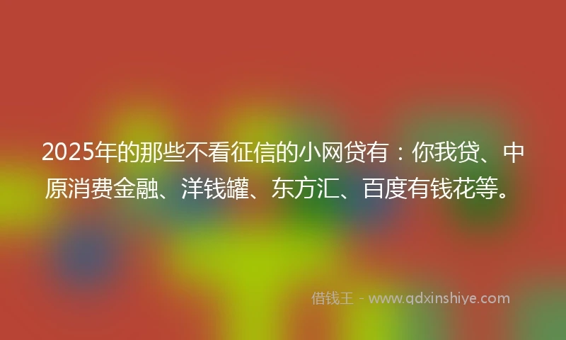 2025年的那些不看征信的小网贷有：你我贷、中原消费金融、洋钱罐、东方汇、百度有钱花等。