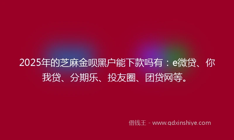 2025年的芝麻金呗黑户能下款吗有：e微贷、你我贷、分期乐、投友圈、团贷网等。