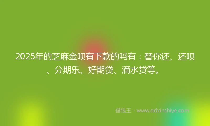 2025年的芝麻金呗有下款的吗有：替你还、还呗、分期乐、好期贷、滴水贷等。