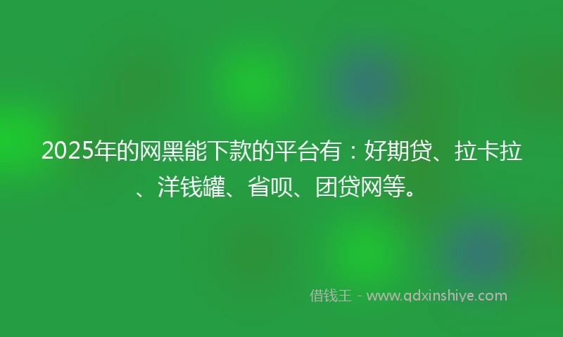 2025年的网黑能下款的平台有：好期贷、拉卡拉、洋钱罐、省呗、团贷网等。