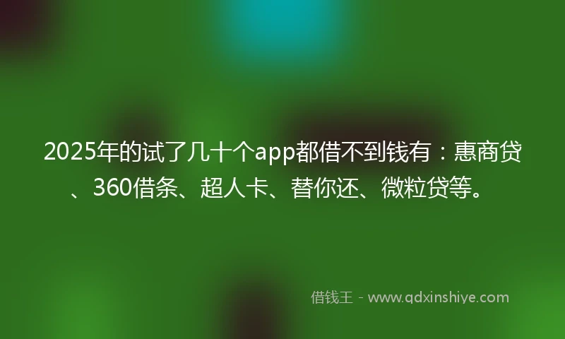 2025年的试了几十个app都借不到钱有：惠商贷、360借条、超人卡、替你还、微粒贷等。