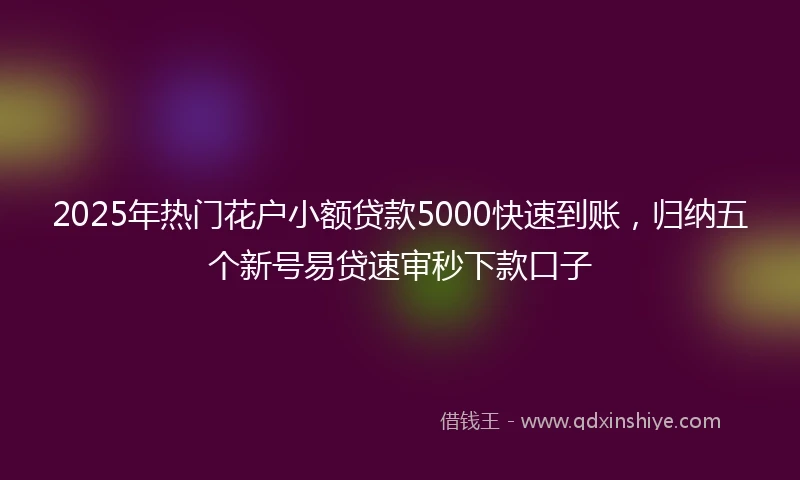 2025年热门花户小额贷款5000快速到账，归纳五个新号易贷速审秒下款口子