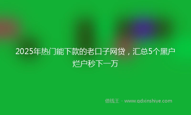 2025年热门能下款的老口子网贷，汇总5个黑户烂户秒下一万