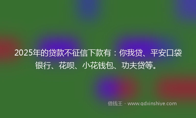 2025年的贷款不征信下款有：你我贷、平安口袋银行、花呗、小花钱包、功夫贷等。