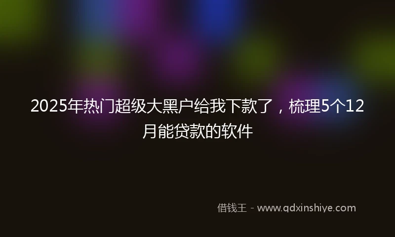 2025年热门超级大黑户给我下款了，梳理5个12月能贷款的软件