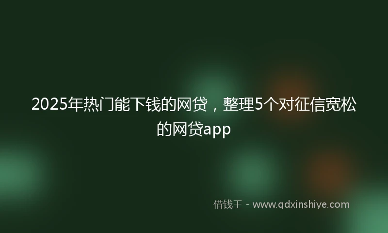 2025年热门能下钱的网贷，整理5个对征信宽松的网贷app