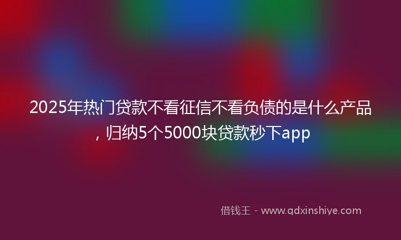 2025年热门贷款不看征信不看负债的是什么产品，归纳5个5000块贷款秒下app