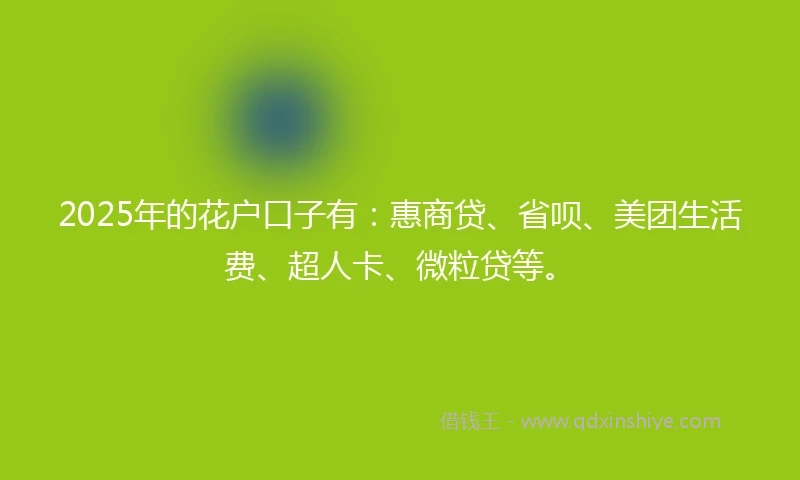 2025年的花户口子有：惠商贷、省呗、美团生活费、超人卡、微粒贷等。