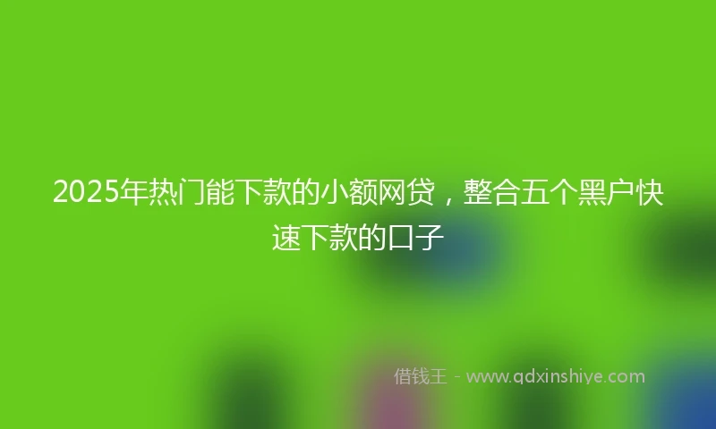 2025年热门能下款的小额网贷，整合五个黑户快速下款的口子