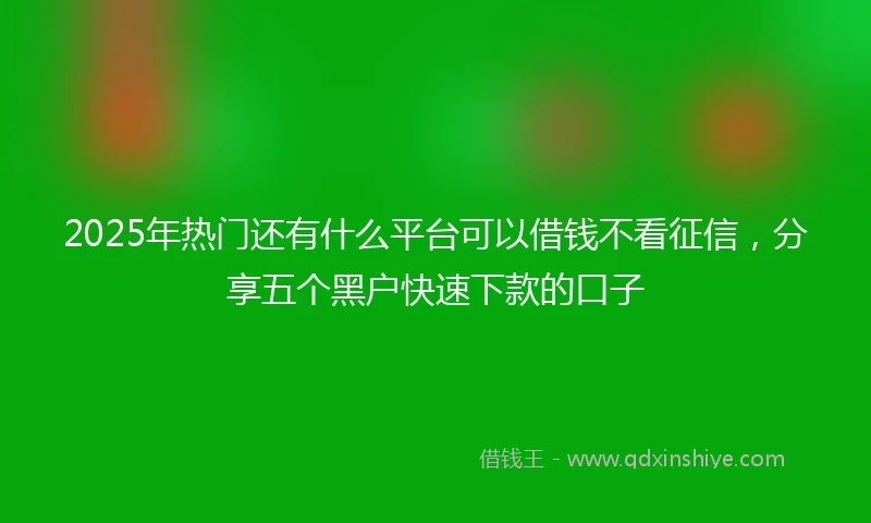 2025年热门还有什么平台可以借钱不看征信，分享五个黑户快速下款的口子