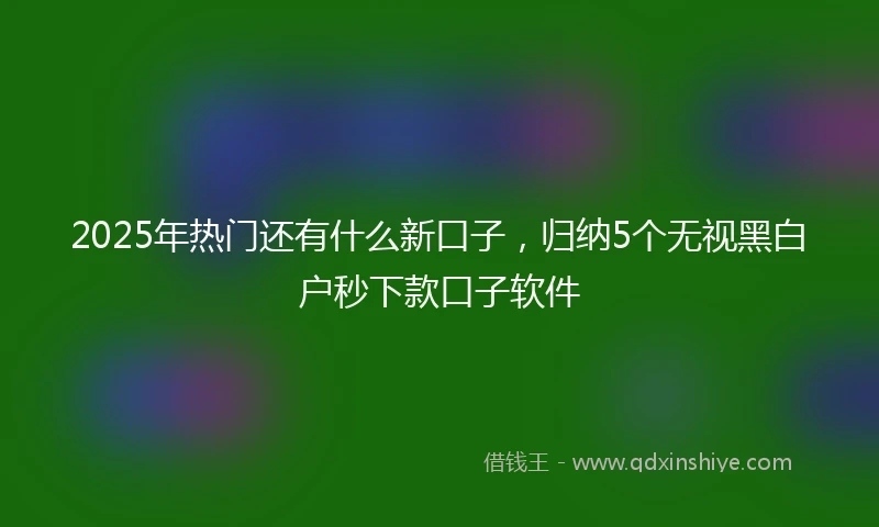 2025年热门还有什么新口子，归纳5个无视黑白户秒下款口子软件
