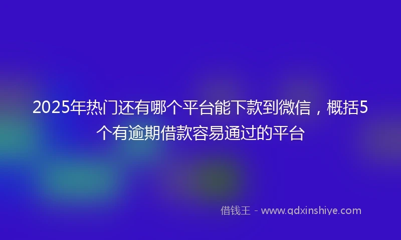 2025年热门还有哪个平台能下款到微信，概括5个有逾期借款容易通过的平台