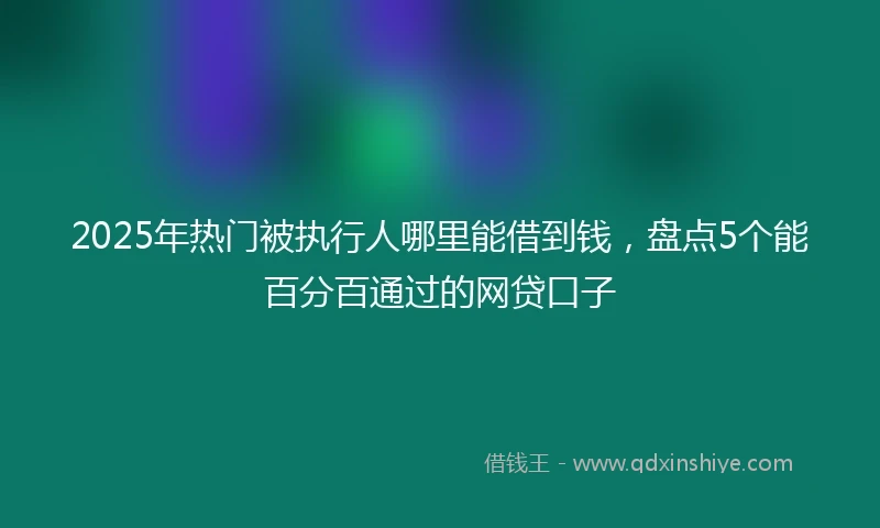 2025年热门被执行人哪里能借到钱，盘点5个能百分百通过的网贷口子