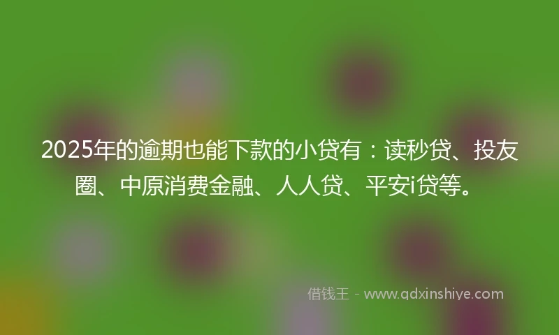 2025年的逾期也能下款的小贷有：读秒贷、投友圈、中原消费金融、人人贷、平安i贷等。