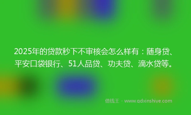 2025年的贷款秒下不审核会怎么样有：随身贷、平安口袋银行、51人品贷、功夫贷、滴水贷等。