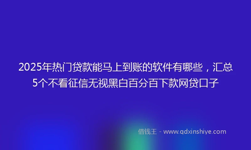 2025年热门贷款能马上到账的软件有哪些，汇总5个不看征信无视黑白百分百下款网贷口子