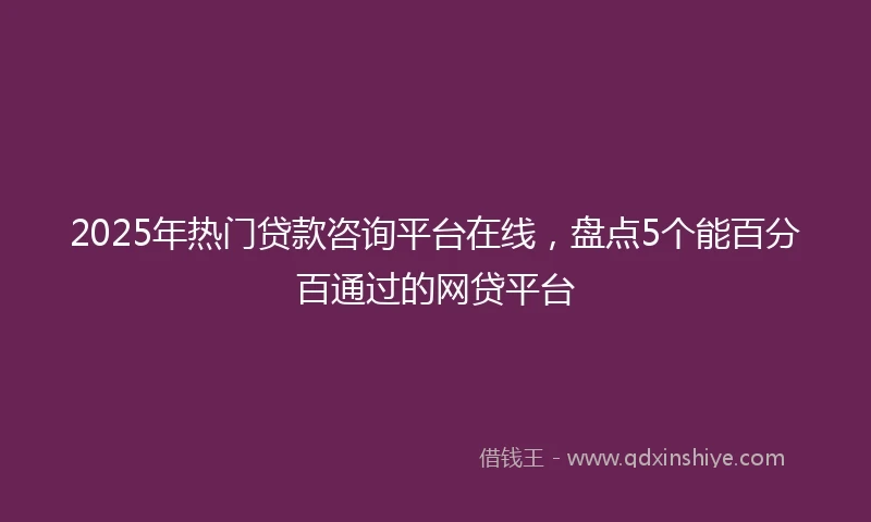 2025年热门贷款咨询平台在线，盘点5个能百分百通过的网贷平台