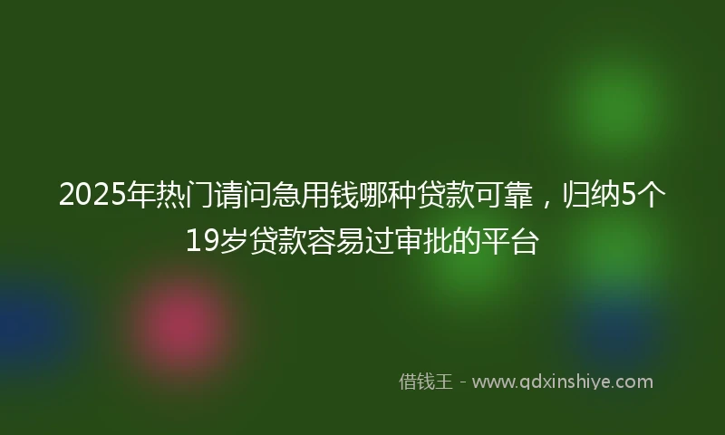2025年热门请问急用钱哪种贷款可靠，归纳5个19岁贷款容易过审批的平台