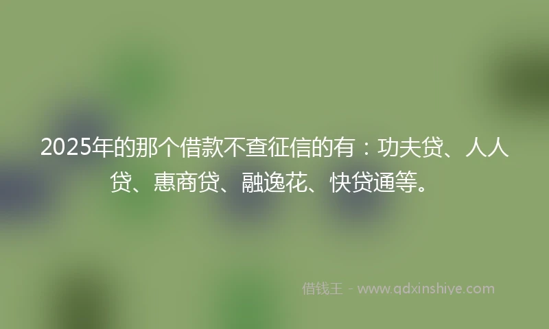 2025年的那个借款不查征信的有：功夫贷、人人贷、惠商贷、融逸花、快贷通等。