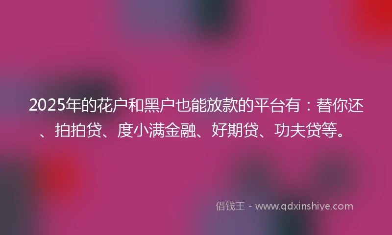 2025年的花户和黑户也能放款的平台有：替你还、拍拍贷、度小满金融、好期贷、功夫贷等。