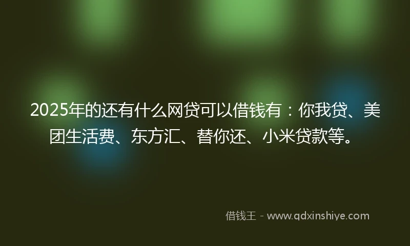 2025年的还有什么网贷可以借钱有：你我贷、美团生活费、东方汇、替你还、小米贷款等。