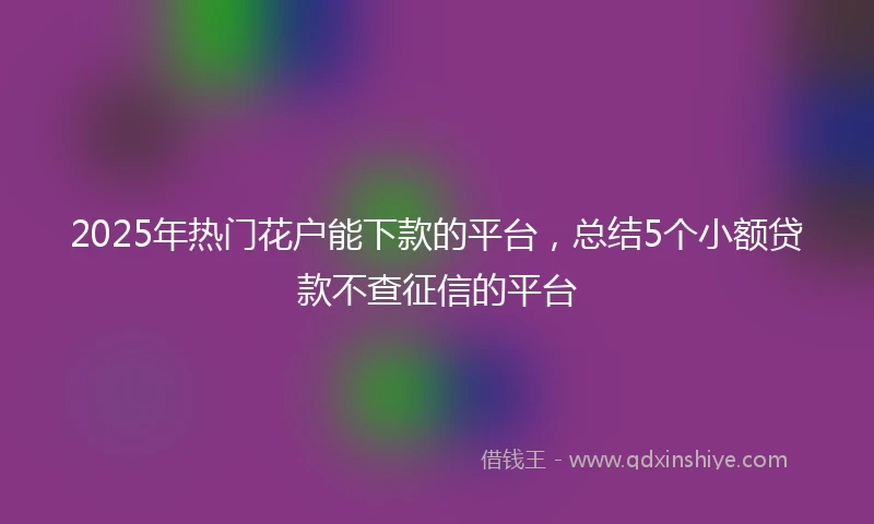 2025年热门花户能下款的平台，总结5个小额贷款不查征信的平台