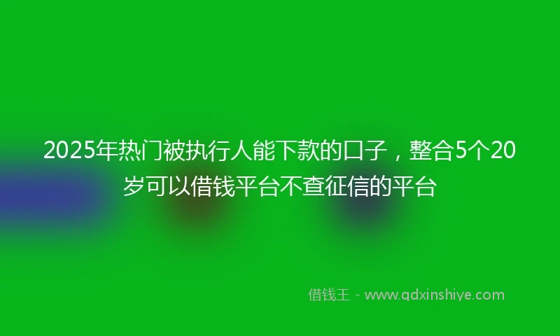 2025年热门被执行人能下款的口子，整合5个20岁可以借钱平台不查征信的平台