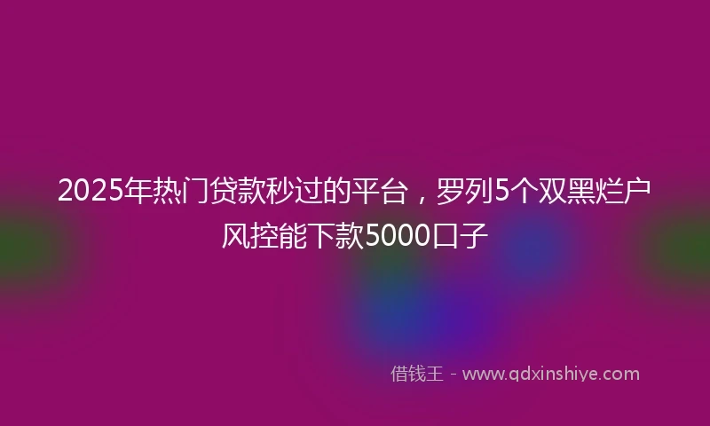 2025年热门贷款秒过的平台，罗列5个双黑烂户风控能下款5000口子