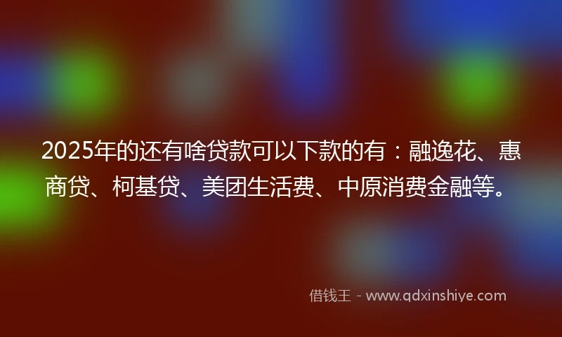 2025年的还有啥贷款可以下款的有：融逸花、惠商贷、柯基贷、美团生活费、中原消费金融等。