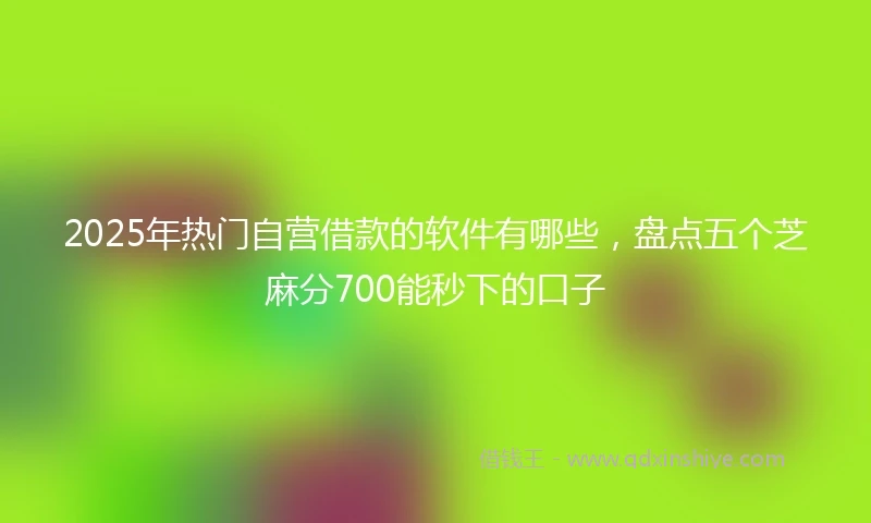 2025年热门自营借款的软件有哪些，盘点五个芝麻分700能秒下的口子