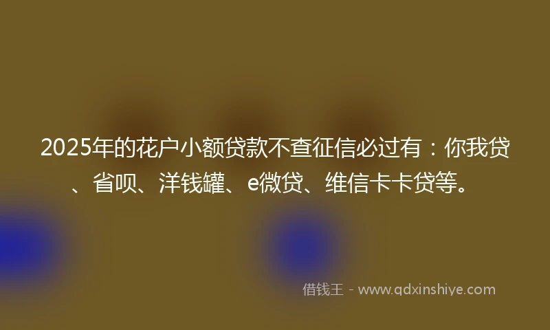 2025年的花户小额贷款不查征信必过有：你我贷、省呗、洋钱罐、e微贷、维信卡卡贷等。