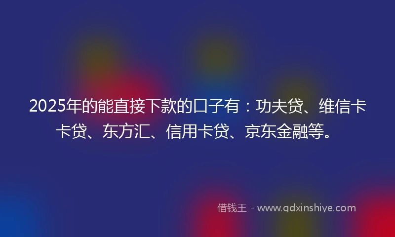 2025年的能直接下款的口子有：功夫贷、维信卡卡贷、东方汇、信用卡贷、京东金融等。