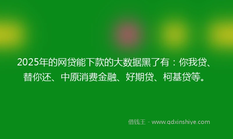 2025年的网贷能下款的大数据黑了有：你我贷、替你还、中原消费金融、好期贷、柯基贷等。