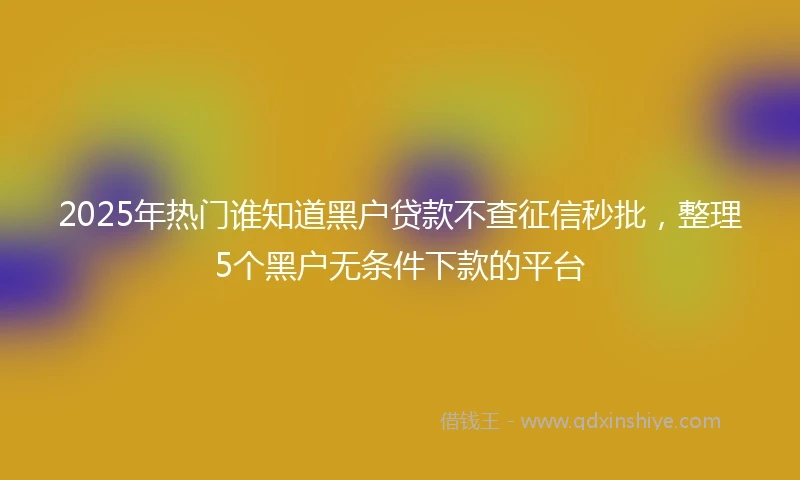 2025年热门谁知道黑户贷款不查征信秒批，整理5个黑户无条件下款的平台