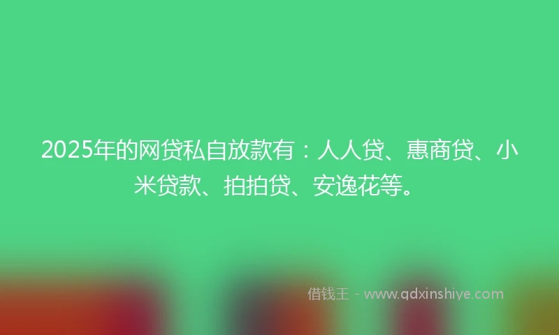 2025年的网贷私自放款有：人人贷、惠商贷、小米贷款、拍拍贷、安逸花等。