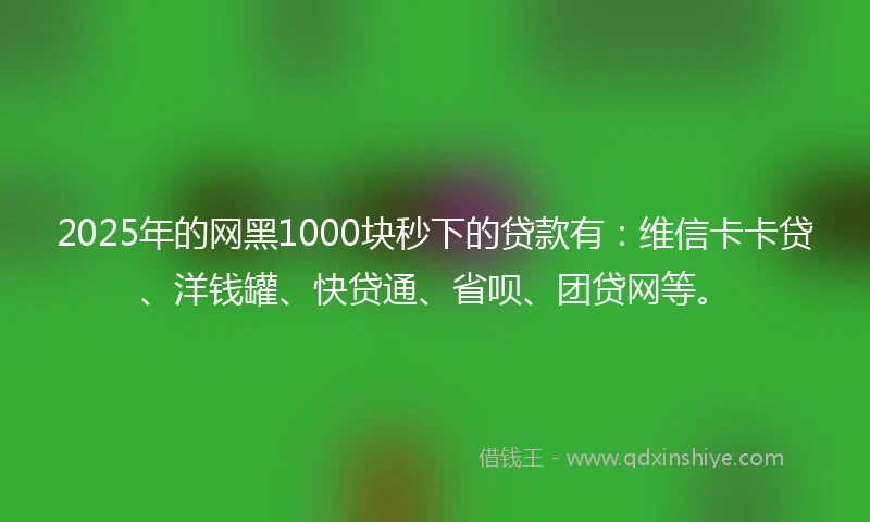 2025年的网黑1000块秒下的贷款有：维信卡卡贷、洋钱罐、快贷通、省呗、团贷网等。