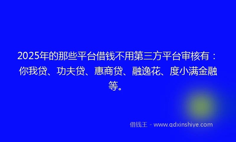 2025年的那些平台借钱不用第三方平台审核有：你我贷、功夫贷、惠商贷、融逸花、度小满金融等。