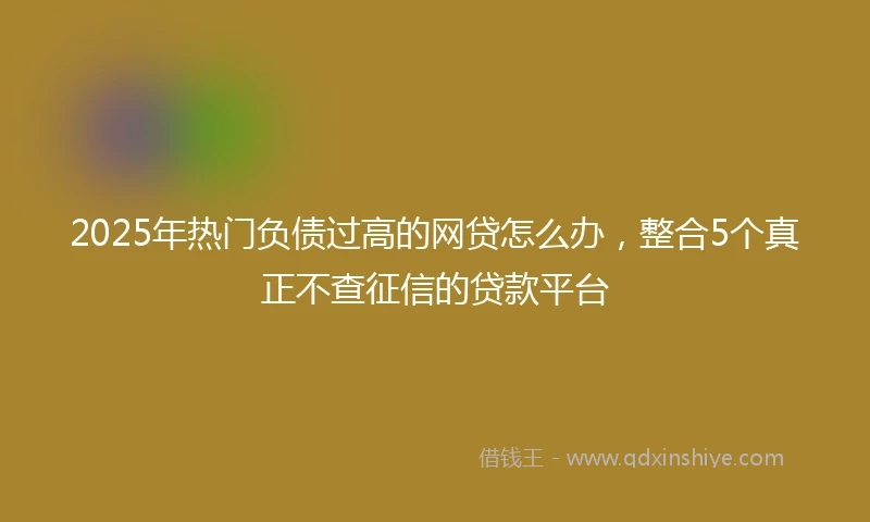 2025年热门负债过高的网贷怎么办，整合5个真正不查征信的贷款平台