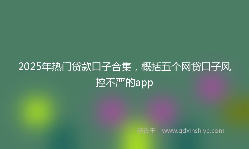 2025年热门贷款口子合集，概括五个网贷口子风控不严的app