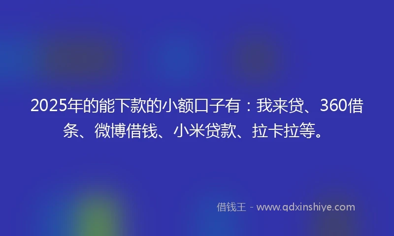 2025年的能下款的小额口子有：我来贷、360借条、微博借钱、小米贷款、拉卡拉等。