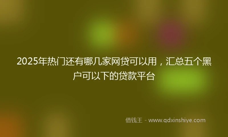 2025年热门还有哪几家网贷可以用，汇总五个黑户可以下的贷款平台