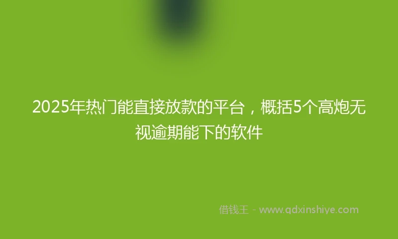 2025年热门能直接放款的平台，概括5个高炮无视逾期能下的软件