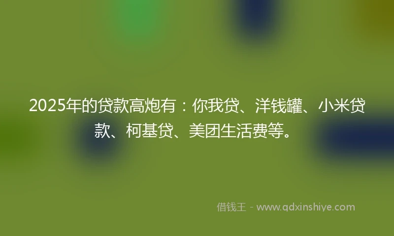 2025年的贷款高炮有：你我贷、洋钱罐、小米贷款、柯基贷、美团生活费等。
