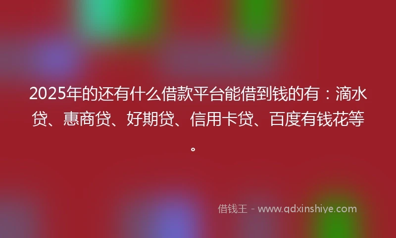 2025年的还有什么借款平台能借到钱的有：滴水贷、惠商贷、好期贷、信用卡贷、百度有钱花等。