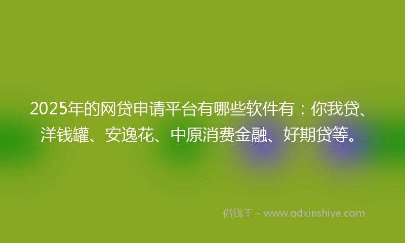 2025年的网贷申请平台有哪些软件有：你我贷、洋钱罐、安逸花、中原消费金融、好期贷等。