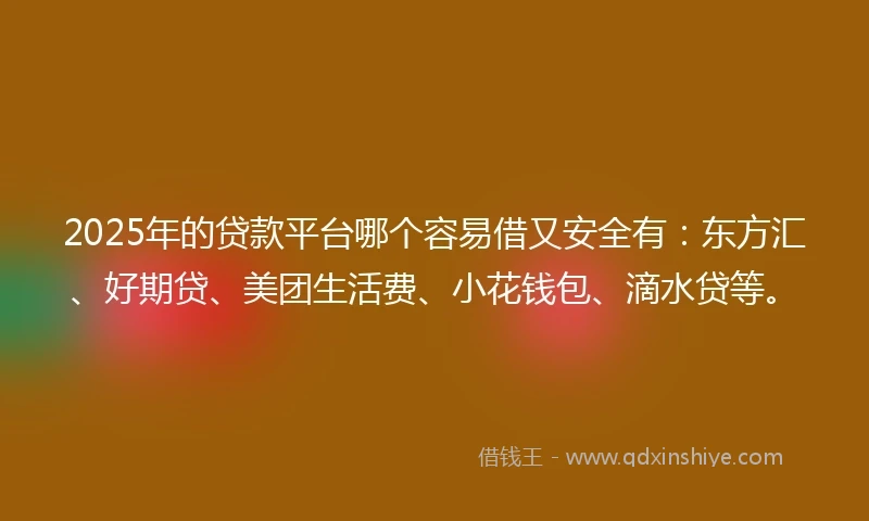 2025年的贷款平台哪个容易借又安全有：东方汇、好期贷、美团生活费、小花钱包、滴水贷等。