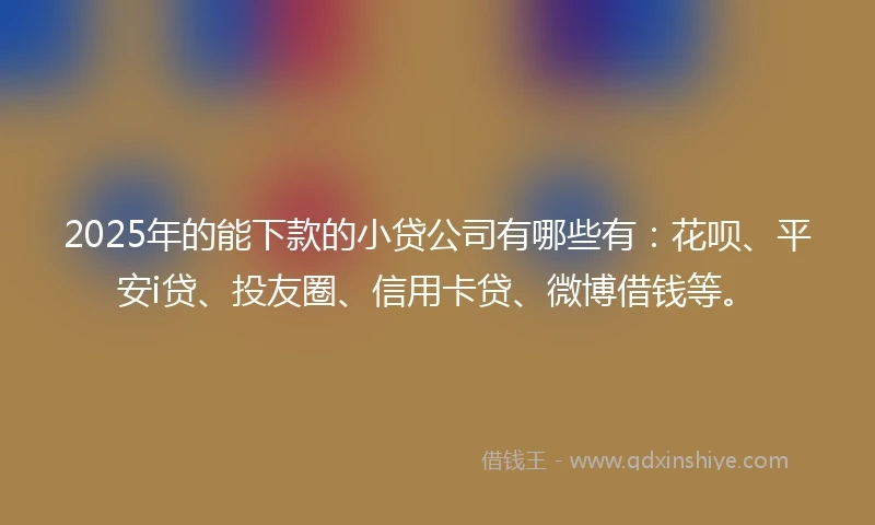 2025年的能下款的小贷公司有哪些有：花呗、平安i贷、投友圈、信用卡贷、微博借钱等。
