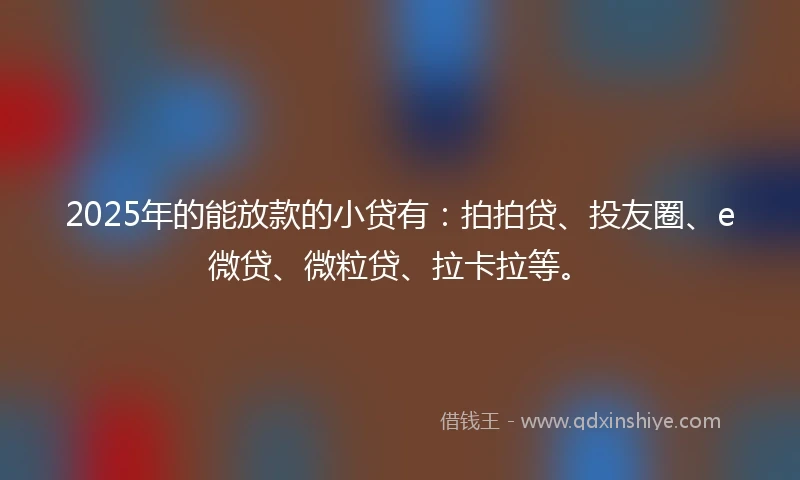 2025年的能放款的小贷有：拍拍贷、投友圈、e微贷、微粒贷、拉卡拉等。